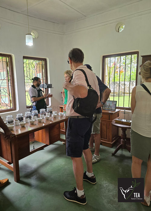 Tea Taster's House gallery photo 138