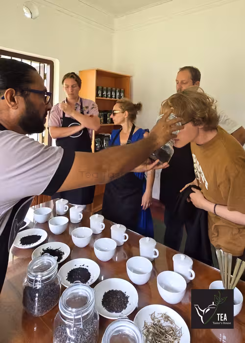 Tea Taster's House gallery photo 83